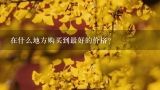 在什么地方购买到最好的价格？