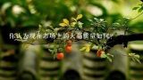 你认为现在市场上的大蒜质量如何？