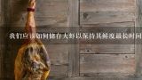 我们应该如何储存大虾以保持其鲜度最长时间？