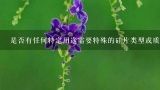 是否有任何特定用途需要特殊的硅片类型或质量等级？