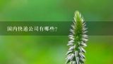 国内快递公司有哪些？