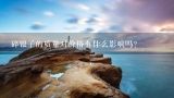 碎银子的质量对价格有什么影响吗？
