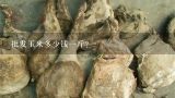 批发玉米多少钱一斤？
