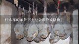 什么样的条件下土豆会涨价或降价？