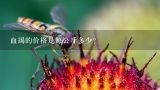 血竭的价格是每公斤多少？
