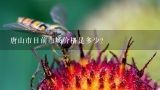 唐山市目前市场价格是多少？