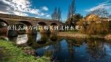 在什么地方可以购买到这种水果？
