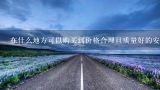 在什么地方可以购买到价格合理且质量好的安树种籽？