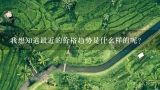 我想知道最近的价格趋势是什么样的呢？