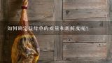 如何确定益母草的质量和新鲜度呢？