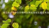梭边鱼市场中存在哪些品牌或商家比较受欢迎呢？