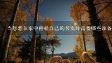 当您想在家中种植自己的芡实时需要哪些准备工作呢？