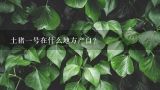 土猪一号在什么地方产自？