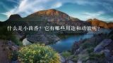 什么是小茴香？它有哪些用途和功效呢？