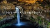 一个普通的苹果大约需要花费多少钱？