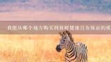 我能从哪个地方购买到新鲜健康且有保证的质量的产品呢？