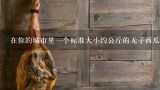 在你的城市里一个标准大小约公斤的无子西瓜的价格大约是多少？