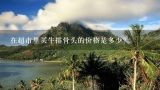 在超市里买牛排骨头的价格是多少？