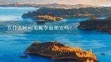 在什么时间羌脆李最便宜吗？