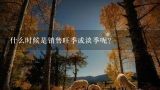 什么时候是销售旺季或淡季呢？