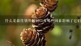 什么是最佳销售时间以及哪些因素影响了它们的价值？