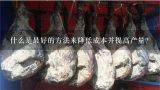 什么是最好的方法来降低成本并提高产量？
