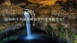 如何购买到最新鲜最好的质量的芡实？