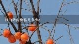 目前猪肉价格是多少？