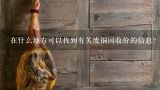 在什么地方可以找到有关废铜回收价的信息？