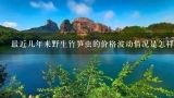 最近几年来野生竹笋虫的价格波动情况是怎样的呢？