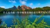 什么是当前一年中板栗市场的最佳购买时间点季节？