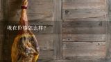 现在价格怎么样？