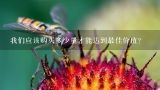 我们应该购买多少量才能达到最佳价值？
