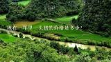 现在一年里一头猪的价格是多少？