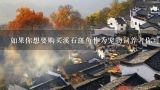 如果你想要购买溪石斑鱼作为宠物饲养者你可能需要考虑哪些因素以确保你的动物能够得到良好的照顾和生存条件？