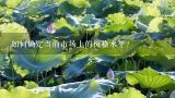 如何确定当前市场上的价格水平？