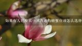 如果有人想要买一只普通的螃蟹应该怎么选择呢？