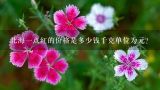 北海一点红的价格是多少钱千克单位为元？