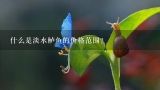 什么是淡水鲈鱼的价格范围？