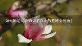 如何确定是否购买了真正的蓝鳍金枪鱼？