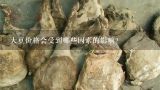 大豆价格会受到哪些因素的影响？
