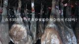 在不同的季节里菠萝蜜的价格会有所不同吗？如果是的话价格会受到哪些因素的影响呢？