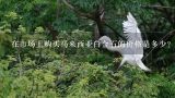 在市场上购买马来西亚白金石的价格是多少？