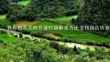 我在超市买的普通的猫粮是否比宠物商店价格低呢？
