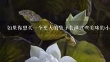 如果你想买一个更大的袋子装满这些美味的小水果的话你需要花费多少钱呢？
