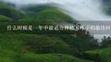 什么时候是一年中最适合种植五味子的最佳时间？