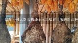 这是一种天然食物还是人工培育出来的新品种？
