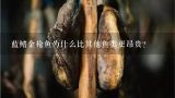 蓝鳍金枪鱼为什么比其他鱼类更昂贵？