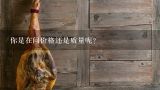 你是在问价格还是质量呢？