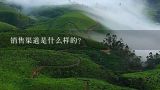 销售渠道是什么样的？